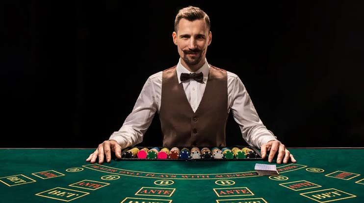 betvip com