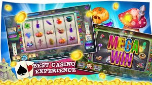betvip com