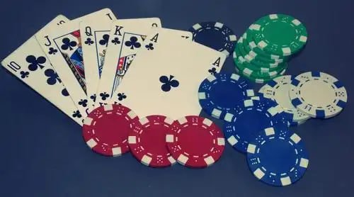 betvip com